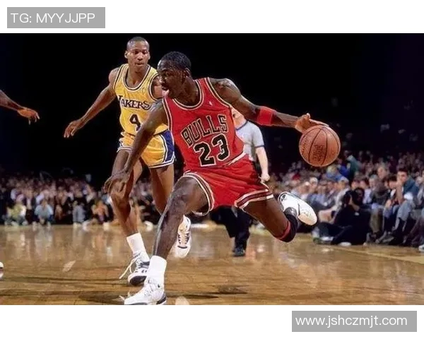 深度对话刘强谈篮球人生的成长与挑战与梦想的追求