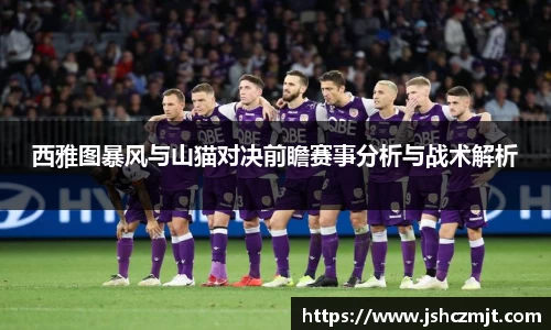 西雅图暴风与山猫对决前瞻赛事分析与战术解析